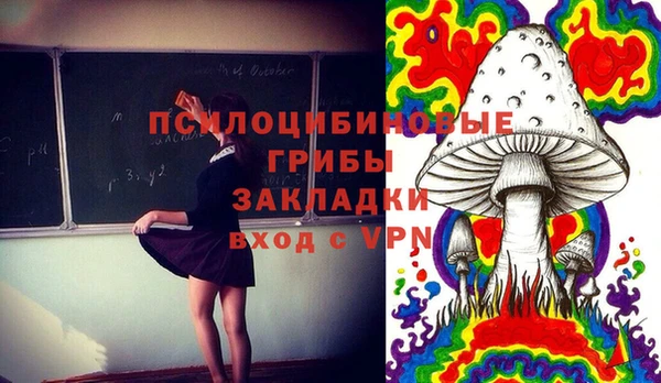 ALPHA-PVP Алексеевка