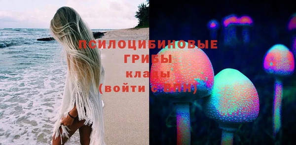 мяу мяу мука Алексин